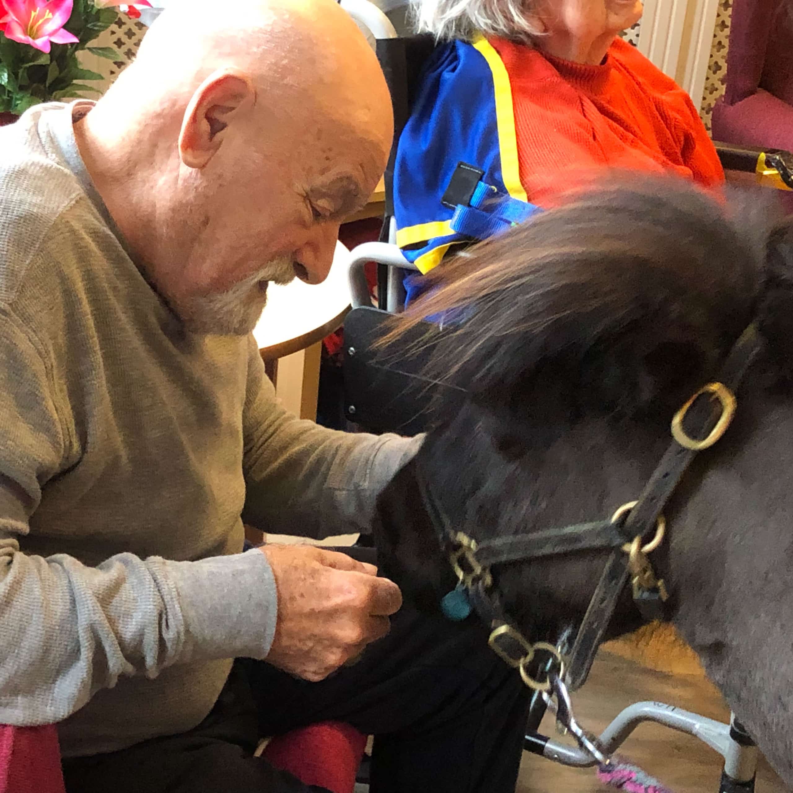 A Linden House Care Home resident in Epsom meets a visiting Shetland pony.